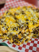 Carne Asada Cheese Fries